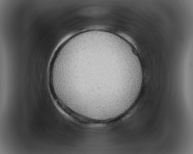 X0000084581135200703231837