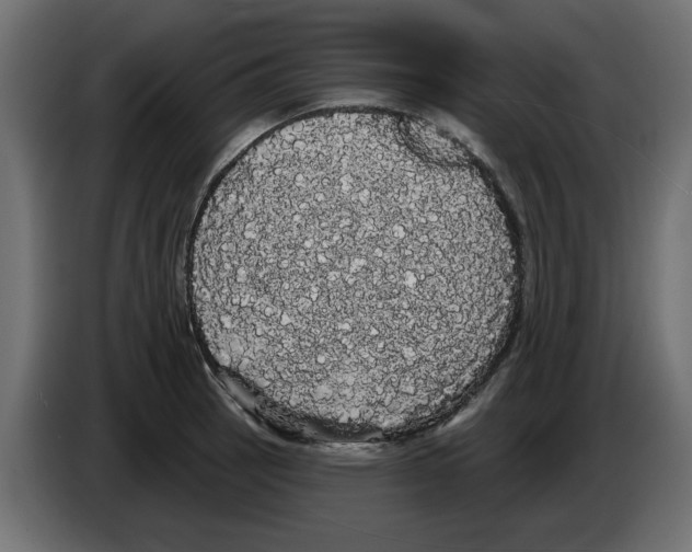 X0000084581137200703231837