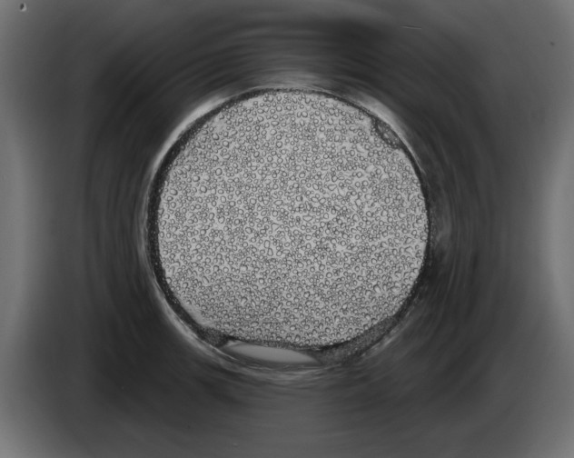 X0000084581139200703231837
