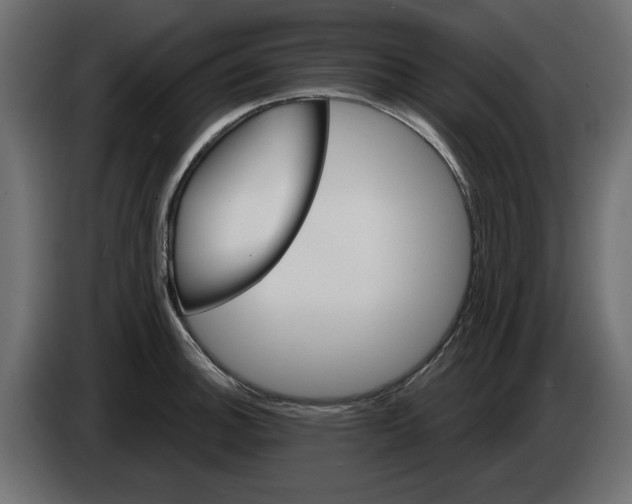 X0000084581140200703231837