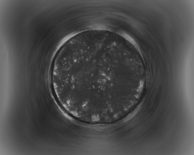 X0000084581141200703231837