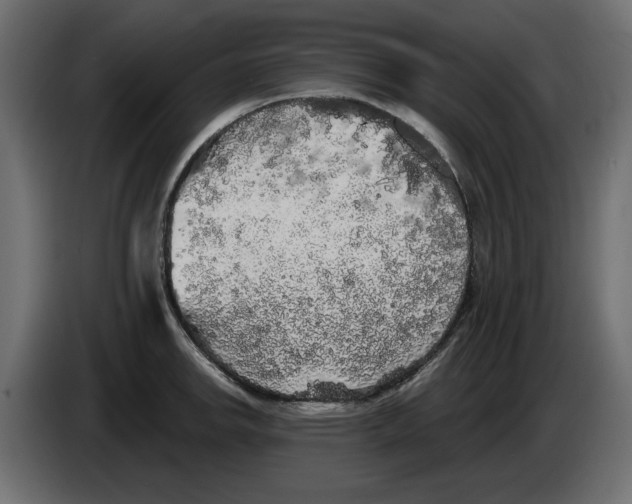 X0000084581142200703231837