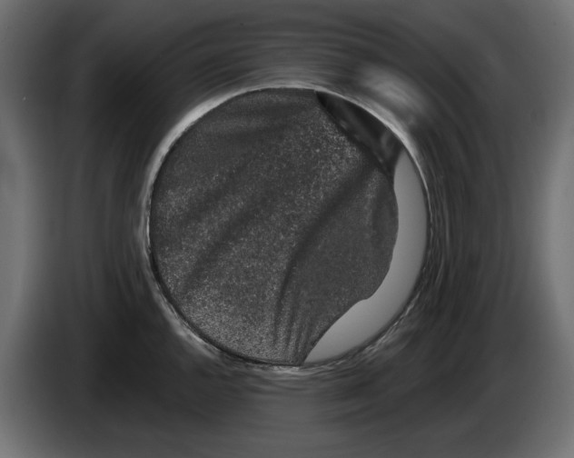 X0000084581144200703231837