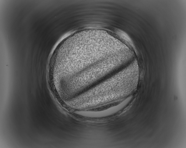 X0000084581146200703231837
