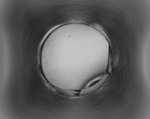 X0000084581148200703231837
