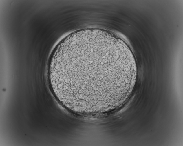 X0000084581149200703231837