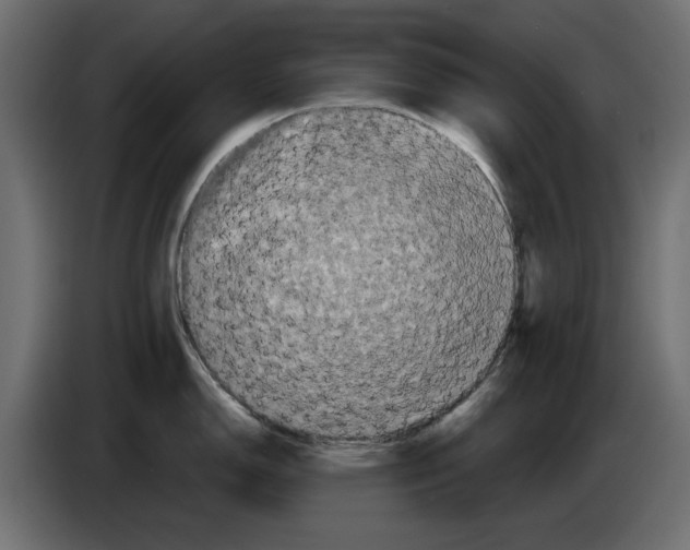 X0000084581150200703231837