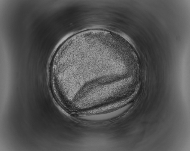 X0000084581151200703231838
