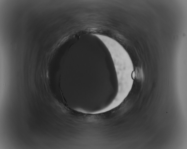 X0000084581155200703231837