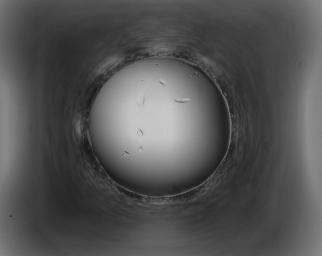 X0000084581157200703231837