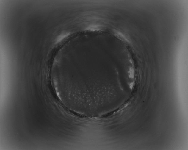 X0000084581158200703231837