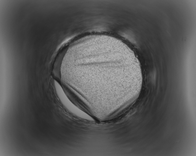 X0000084581160200703231837