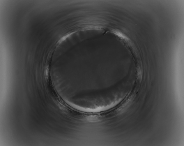 X0000084581161200703231837