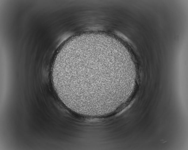 X0000084581162200703231837
