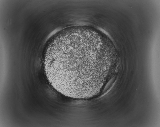 X0000084581163200703231837