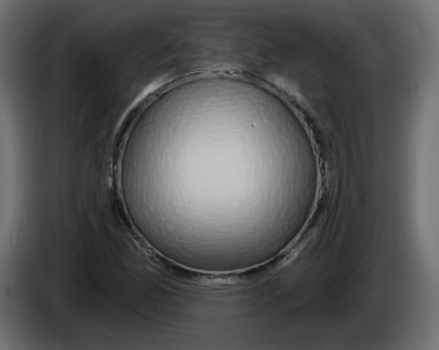 X0000084581165200703231837