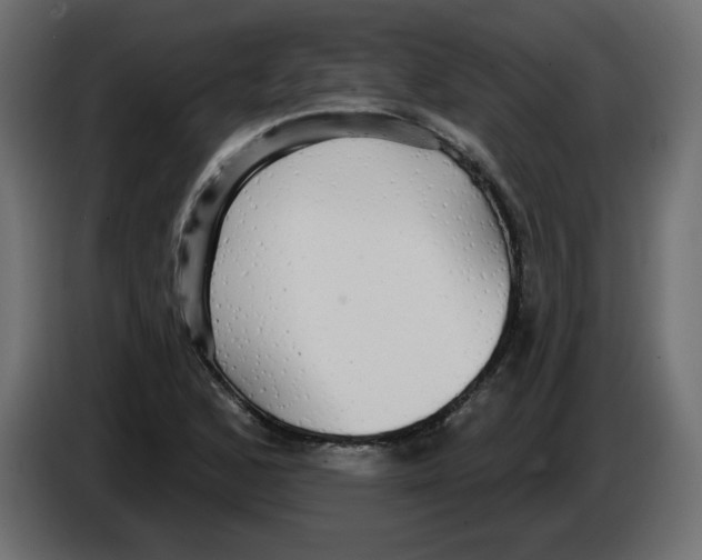 X0000084581168200703231837