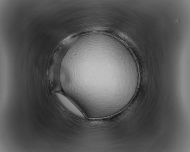 X0000084581169200703231837