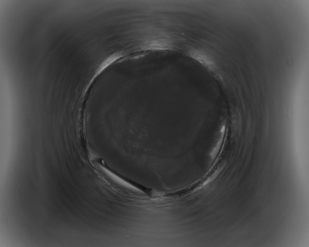 X0000084581170200703231837