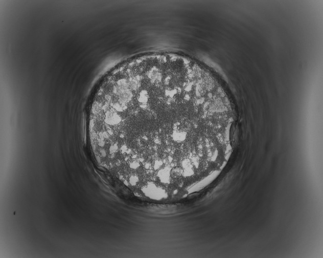 X0000084581171200703231837