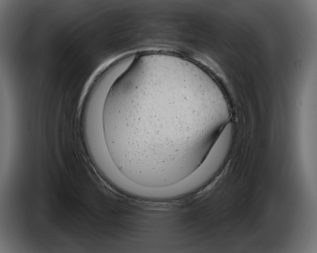 X0000084581172200703231837