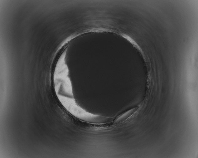 X0000084581173200703231837