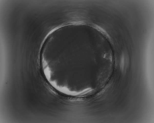 X0000084581174200703231837