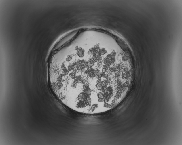 X0000084581175200703231837