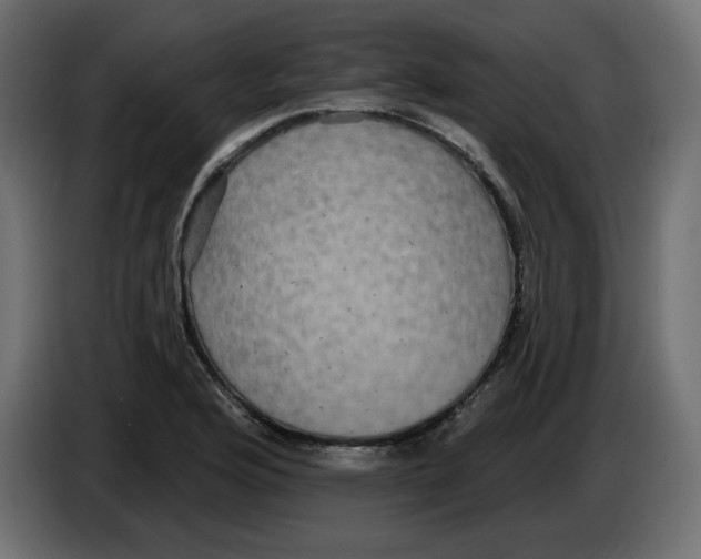 X0000084581176200703231837