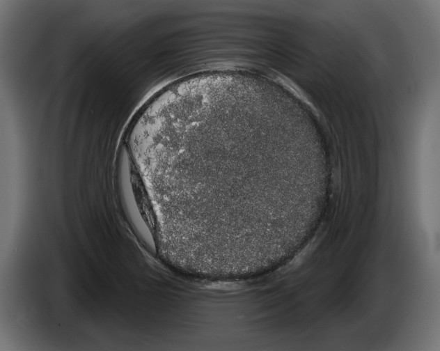 X0000084581178200703231836