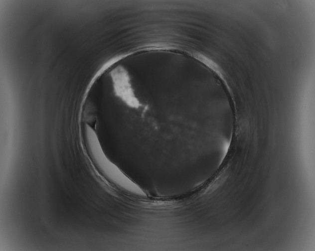 X0000084581179200703231836
