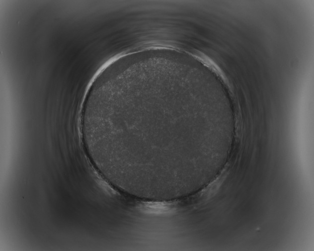 X0000084581182200703231836