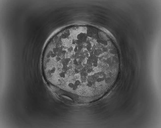 X0000084581183200703231836