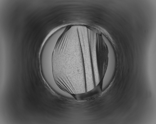 X0000084581184200703231836