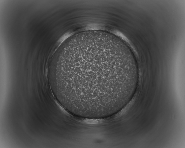 X0000084581185200703231836