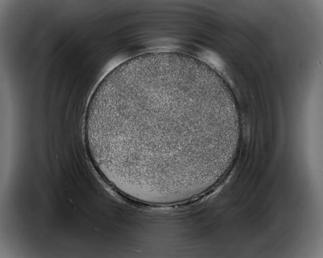X0000084581186200703231836