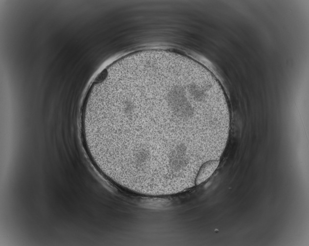 X0000084581187200703231836