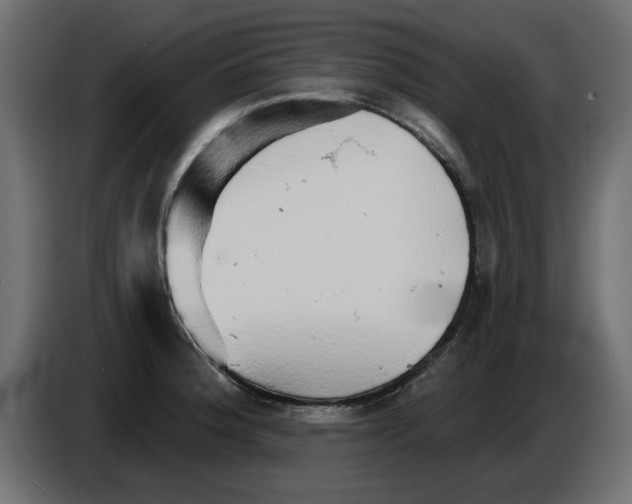 X0000084581188200703231836