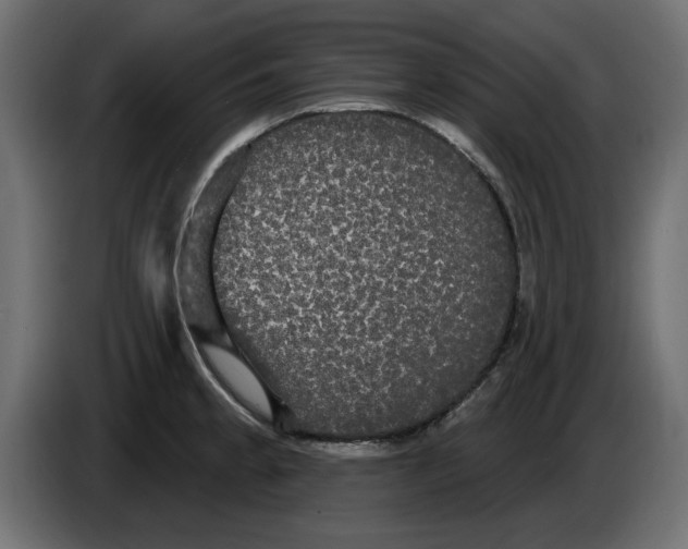 X0000084581189200703231836