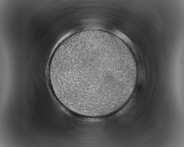 X0000084581190200703231836