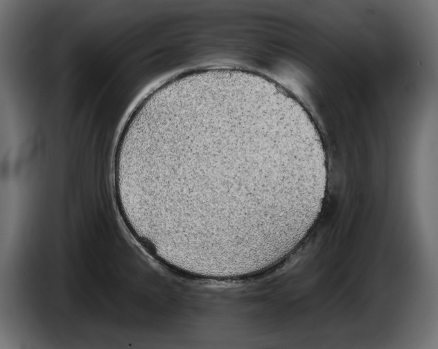 X0000084581191200703231836