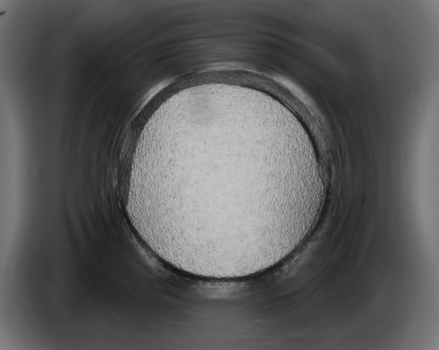 X0000084581193200703231836
