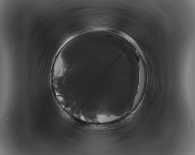 X0000084581194200703231836