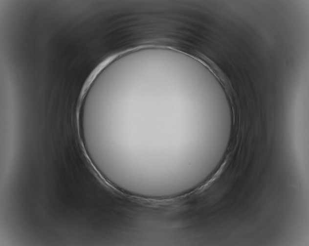 X0000084581196200703231836