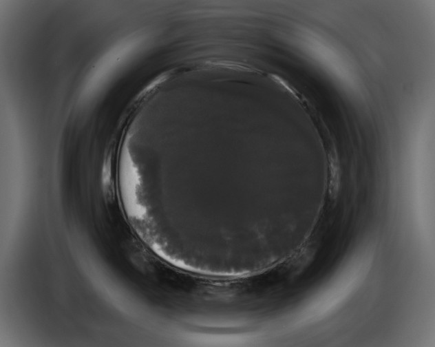 X0000084581198200703231836