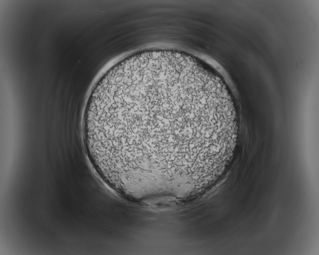 X0000084581199200703231836