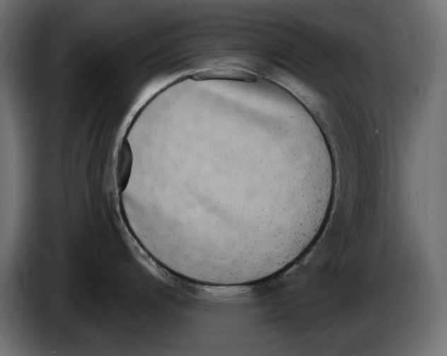 X0000084581200200703231836