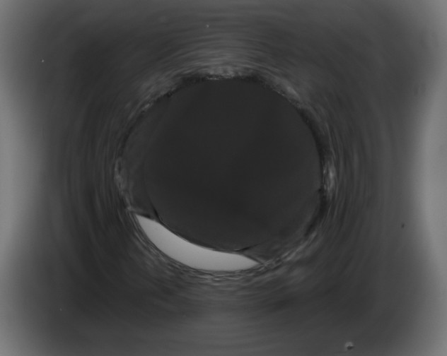 X0000084581202200703231836