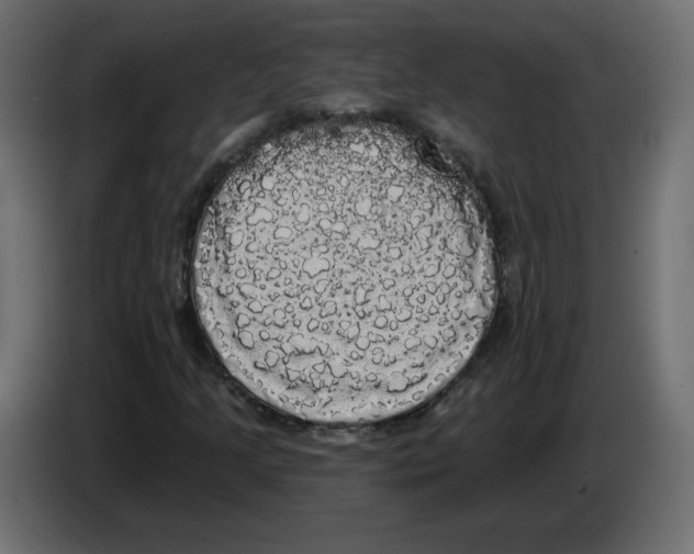 X0000084581205200703231836