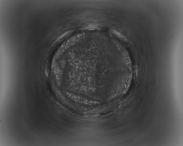 X0000084581206200703231836